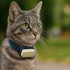 猫 gps 首輪 日本製